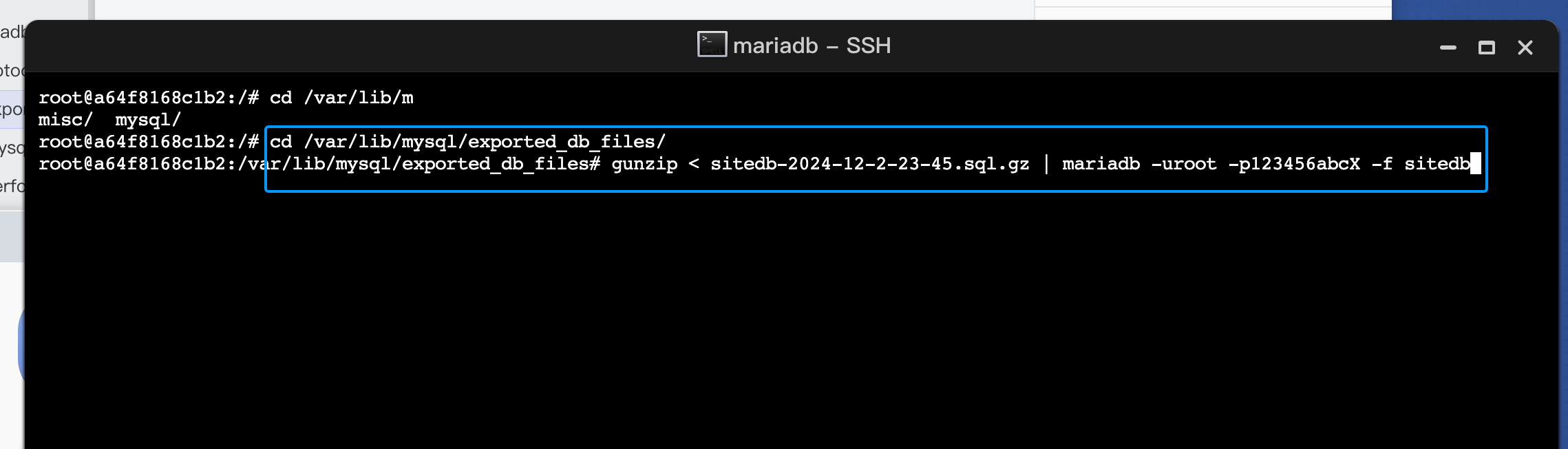 image-20241203011742146