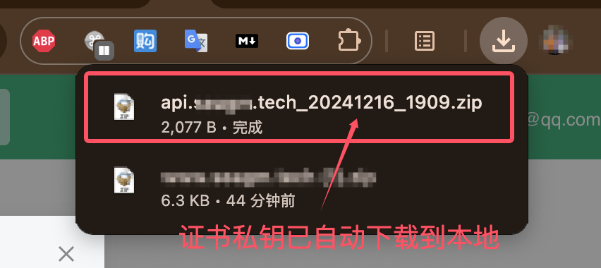 image-20241216191103828